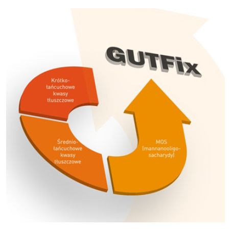 GutFix