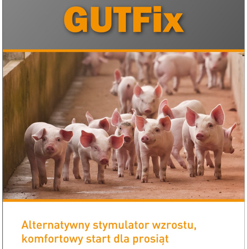 GutFix