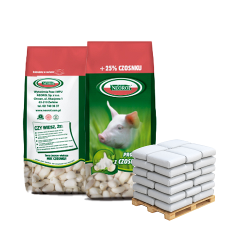 Koncenrtat BiqProsie